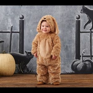 Pottery Barn Puppy Halloween costume 12-24 months